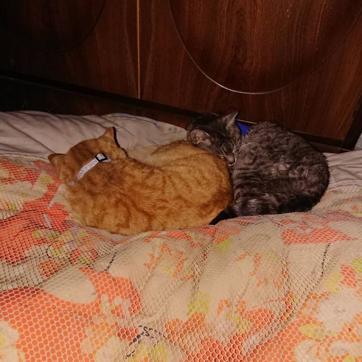 D26d2d69 2975 4c99 867a c1963c68450e 1586966797601