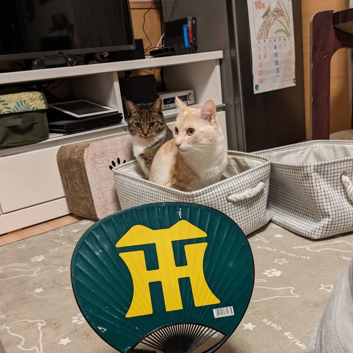 D26d44c8 95b4 4a6c 83a9 d00b639575da 1697806525324