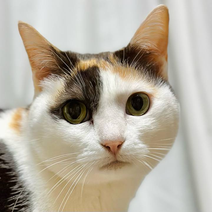 D26d7961 4425 40d8 bd28 644db495de70 1682729538316