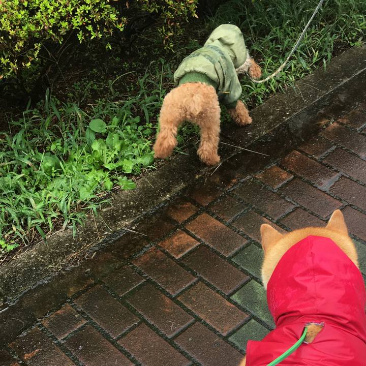 D26d7eaa 518c 4bf8 aeaf c2ac9cfd14e7 1602304794396