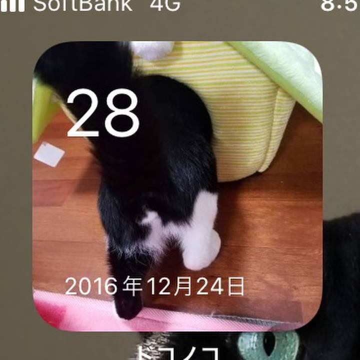 D26d8f3b 04c6 4224 850f 40ce7f07959a 1640649099637