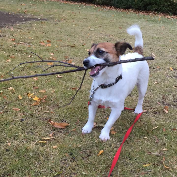 D26d9e13 f216 406e afce 33200917a27c 1510270202817