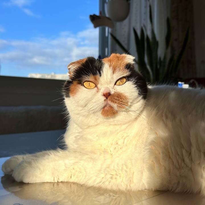 D26dc0e0 1609 4576 a52f 5a2108e66dca 1704326052366