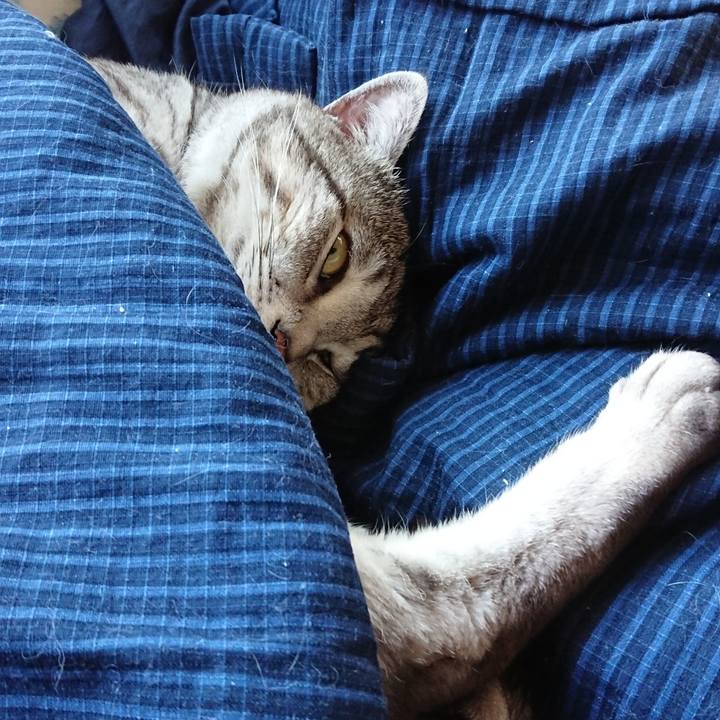 D26dc221 2a69 43cf 92fd 32e1bfb9bea3 1523334766998