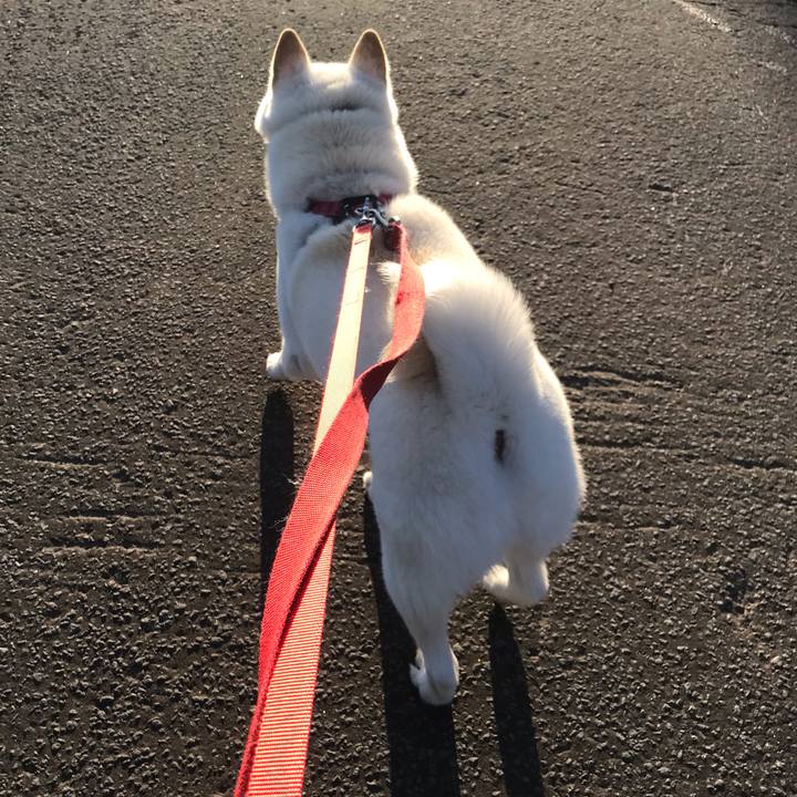 D26dc755 ad86 4467 b79d b5947d40efc2 1542450771206