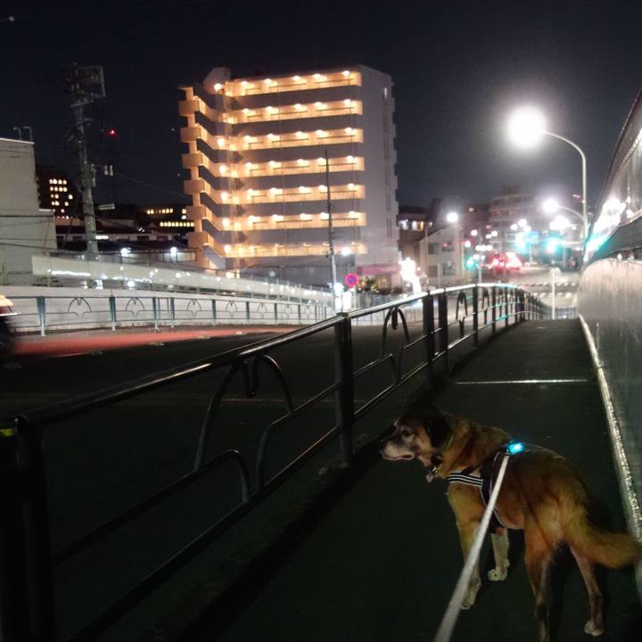 D26de1b1 2932 4993 9053 b294e26d1385 1538144849463