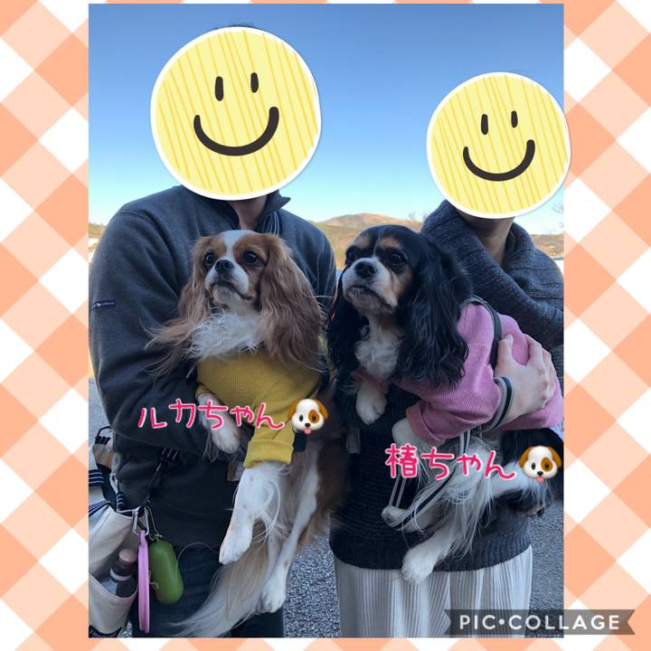 D26e1ed5 40fa 4f63 963e dad100185c70 1577773540834