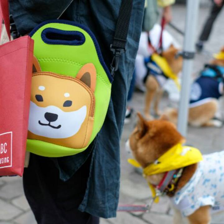 D26e2215 e146 46a0 adbb eba17dd71c62 1560301228157