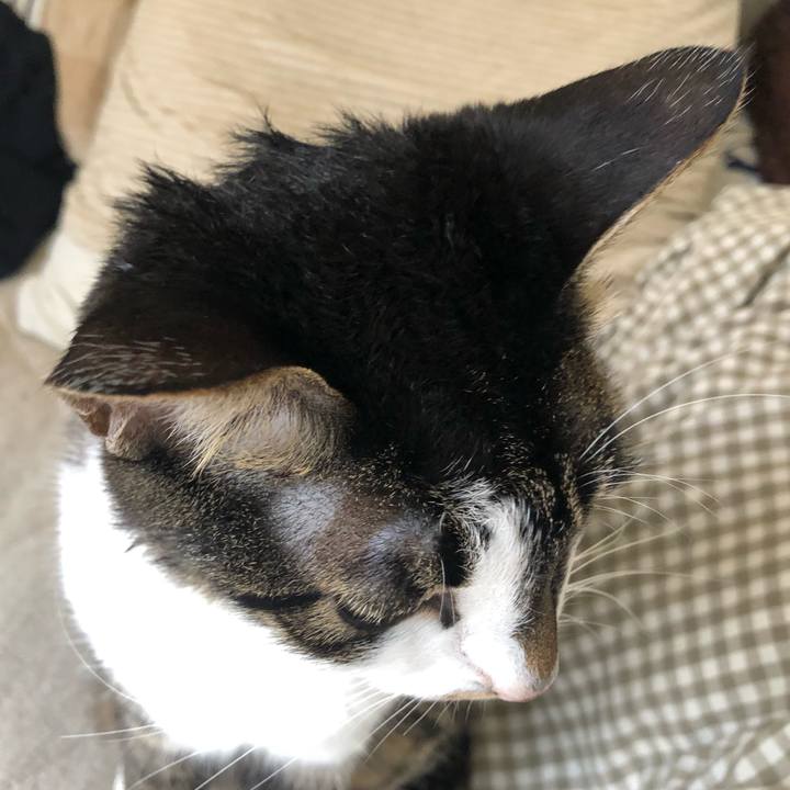 D26e301e 99a7 4607 a4e5 90b1853c30a3 1617078521805