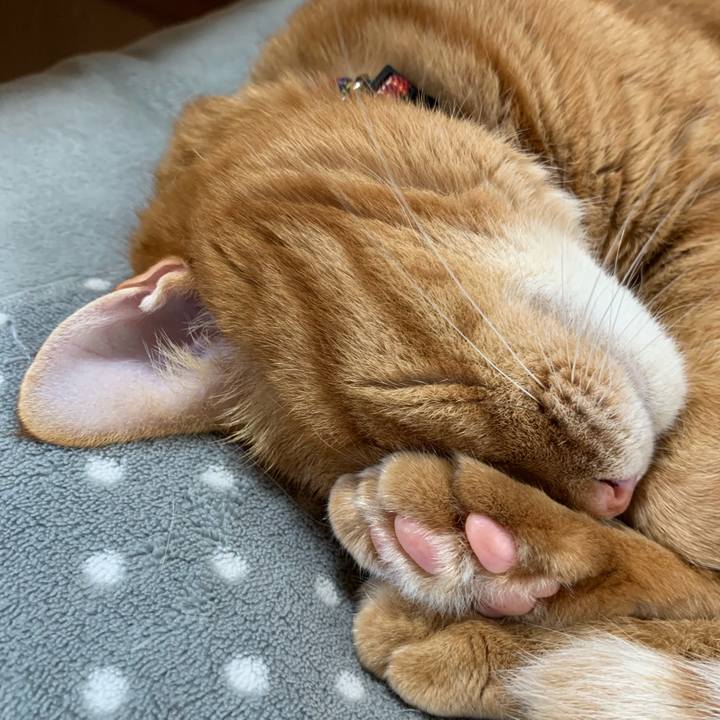 D26e64e4 91c2 4563 92d9 85bac76c7e37 1562389576206