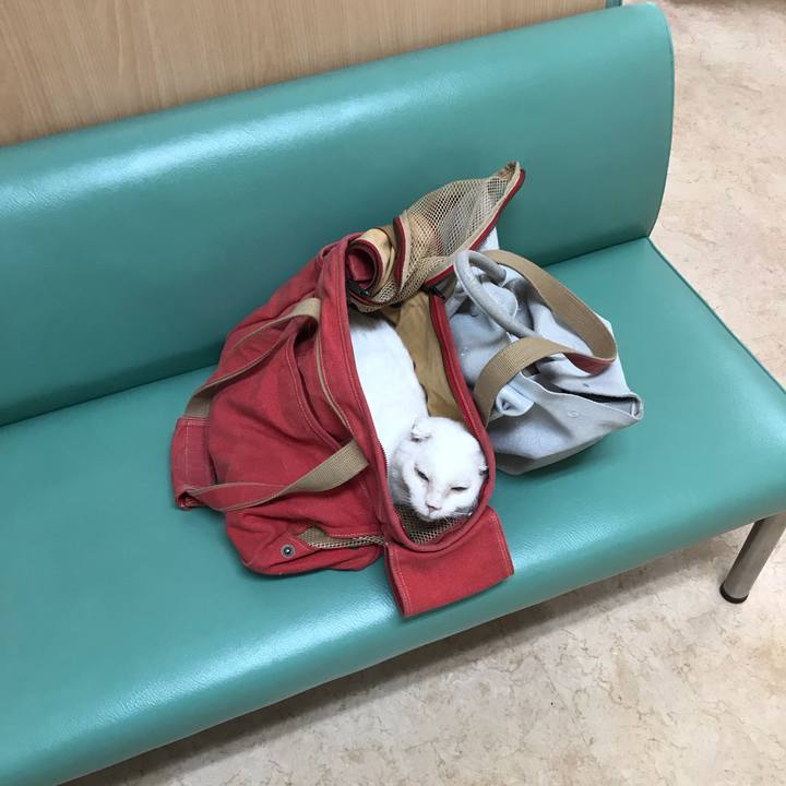 D26e6f8c e685 4f0a be0a b7d15dda9618 1561467618021