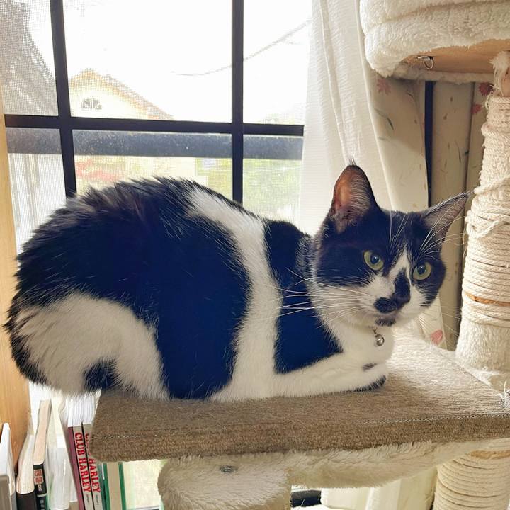 D26e8e91 3f39 4e03 87b7 bf366f3e2bdb 1761173836168