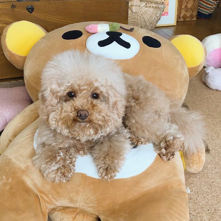 D26e9932 540e 47e8 8e6f 7b5723c352f5 1519701990489