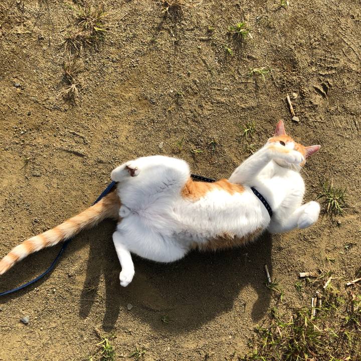 D26ed30d b9c1 429b ae7e c92bbfd40341 1539416175025