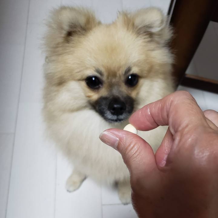 D26f0a75 c443 4f57 bf00 d6181e4e1587 1627099258491