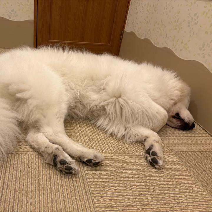 D26f4042 4289 471d a95a bf76f7454179 1761859356886