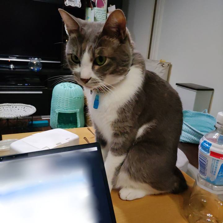 D26fc0b7 2803 4a5a 8c4a 178ce5c806c9 1702368330061