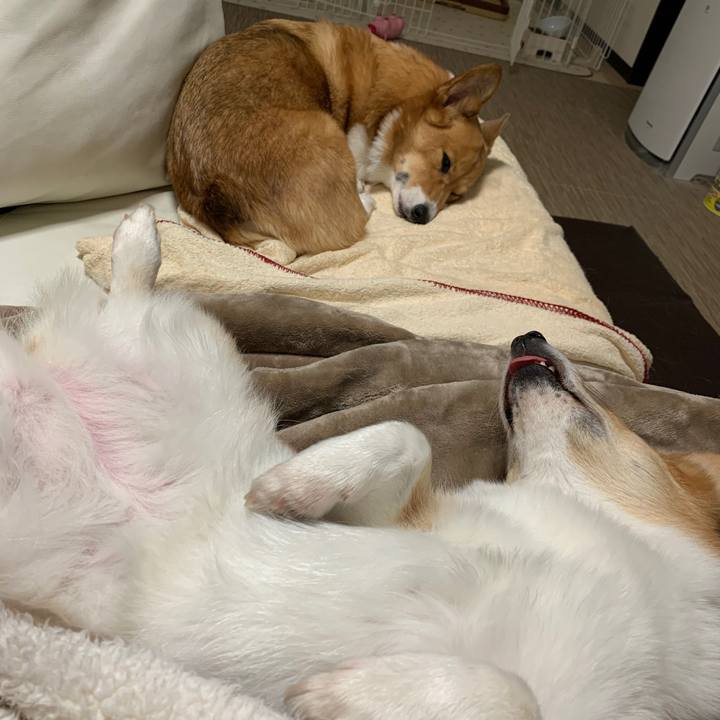 D26fc56a d5e0 4a7d aba2 04b242c11473 1573872919310