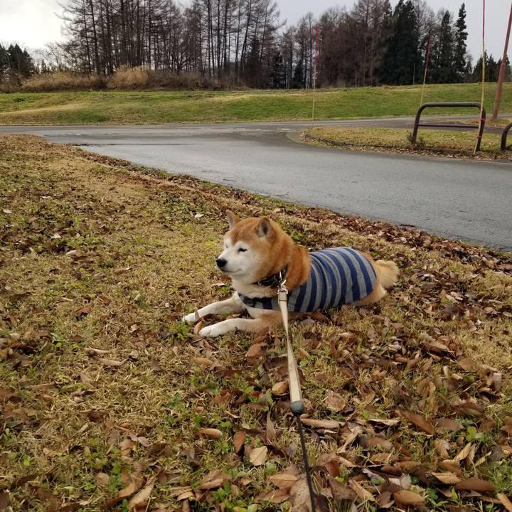 D26fe158 4493 4cc2 865e 4fc65daee656 1670995729467