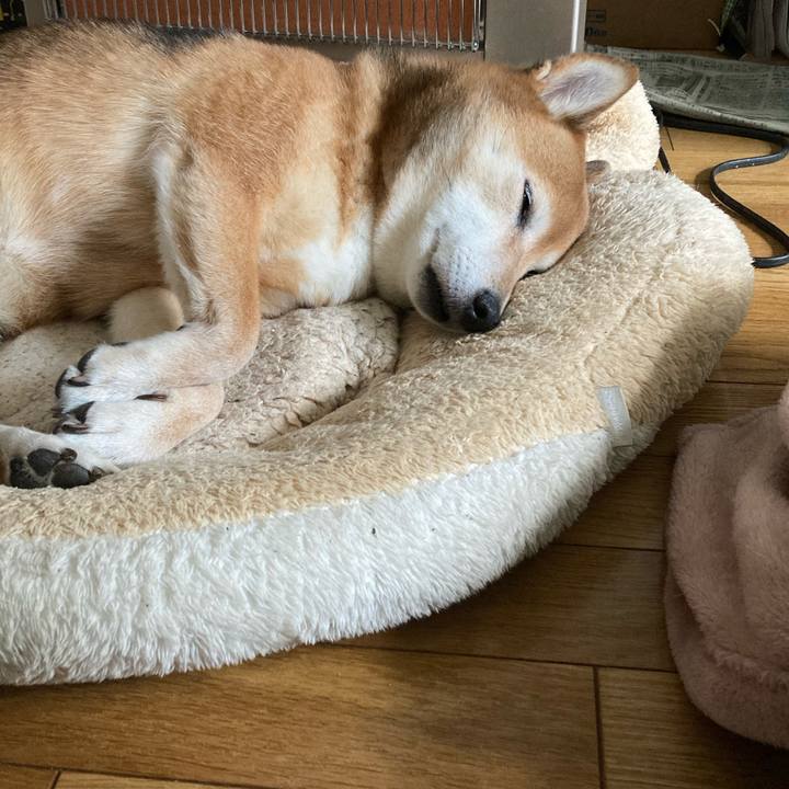 D26ffdab 68bf 4b6c ac96 bfa4fe64f9f7 1633839098493