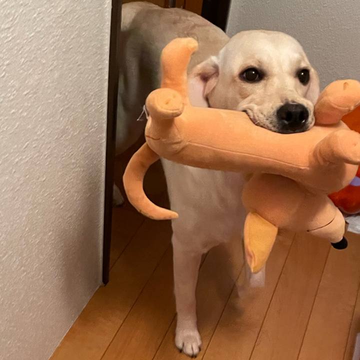 D2701857 d5ad 46aa b419 98dd436d5c91 1640728926238