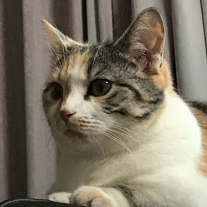 D2701ba7 820d 4a89 b467 96723f98d210 1525257317506