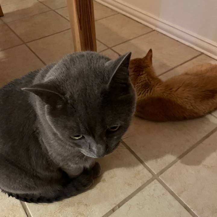 D2704430 236a 49f9 bd11 288ed7b26bc3 1769478708265