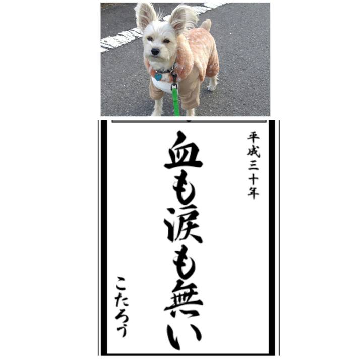 D27092f9 38df 4caa a1d9 f3261dbe1f4b 1514978759824