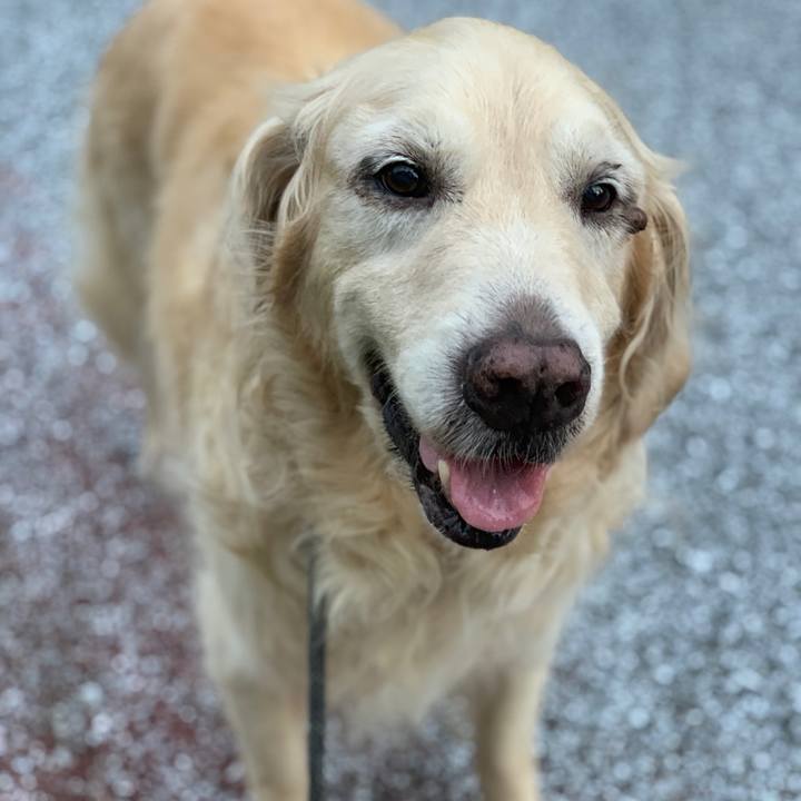 D270a4ac 6fd6 48e0 b4bb 98c8fe89ea15 1562919653579