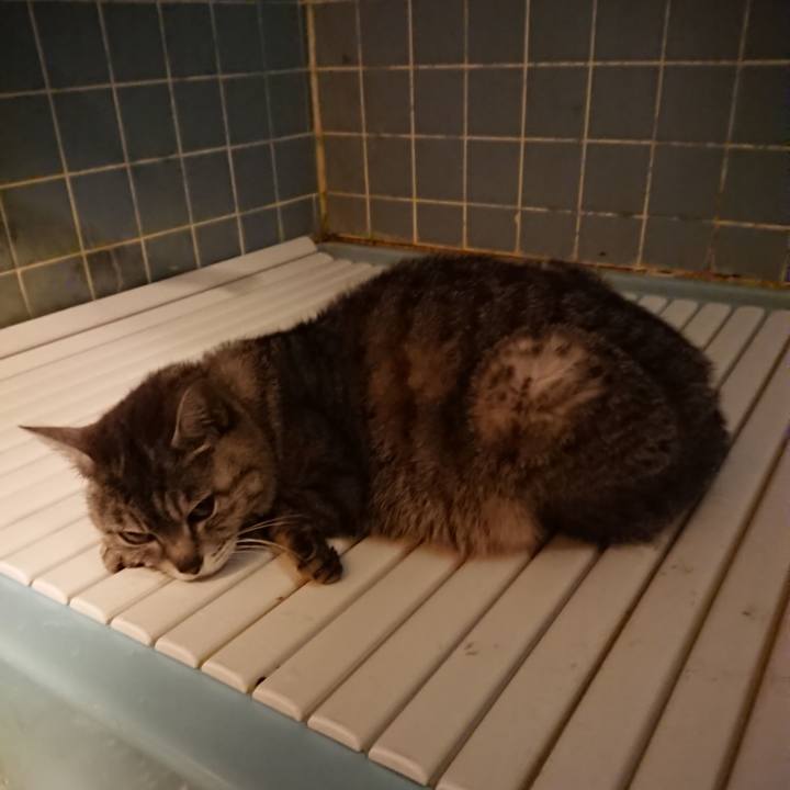 D270a5c8 5990 4527 9a5f 3ceea070453b 1560250188871