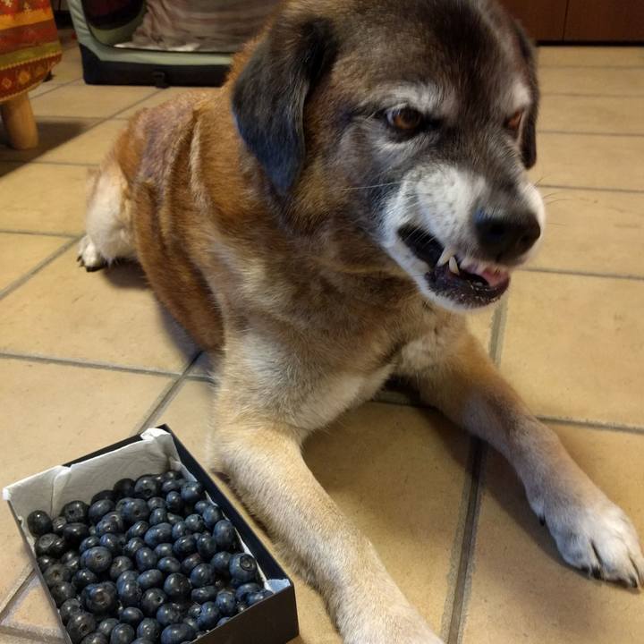 D270b1fe d647 41a4 bbce a8a7df60cdc9 1529136545167