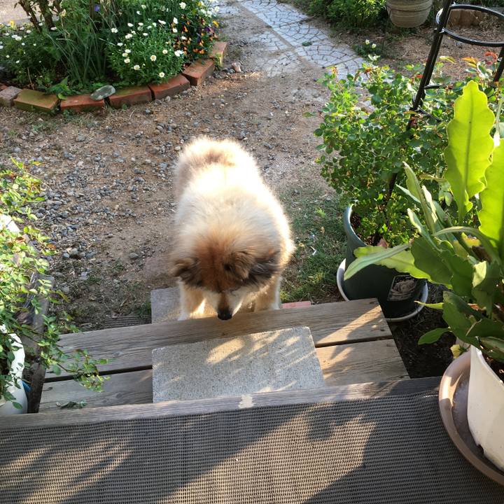 D270bbec 5395 4ac4 a2b4 89cab3b28f61 1569070431795