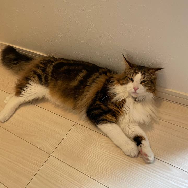 D270c117 eee7 4748 9410 4906888b5743 1649714542600