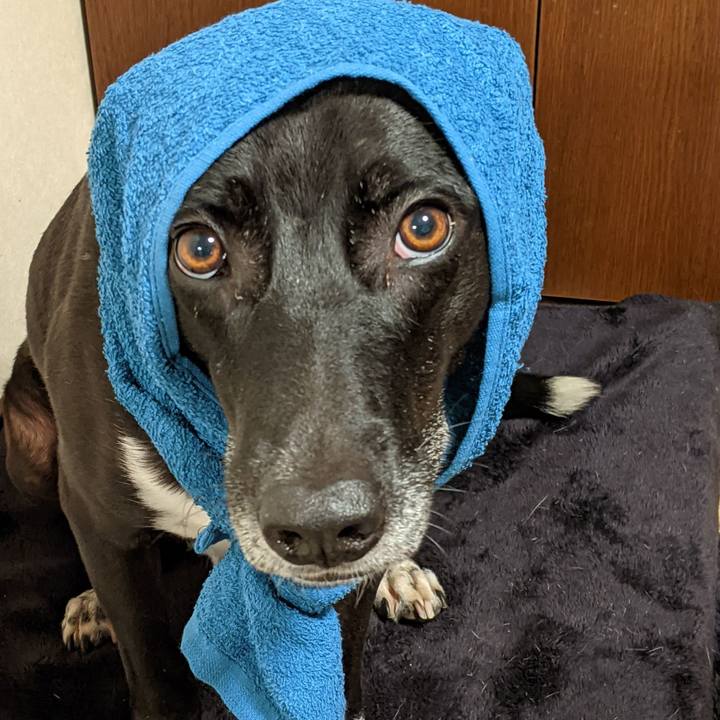 D270ccc1 13c6 42cd 9c56 0c2cb7094fda 1636714659022