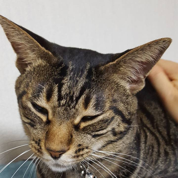 D270dd1b 0339 494c 80b8 a69299753870 1512308173760