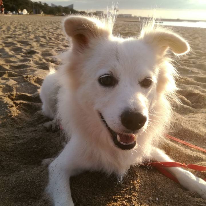 D270f7ea a44f 4a05 9844 9506a6c629f7 1511313334614