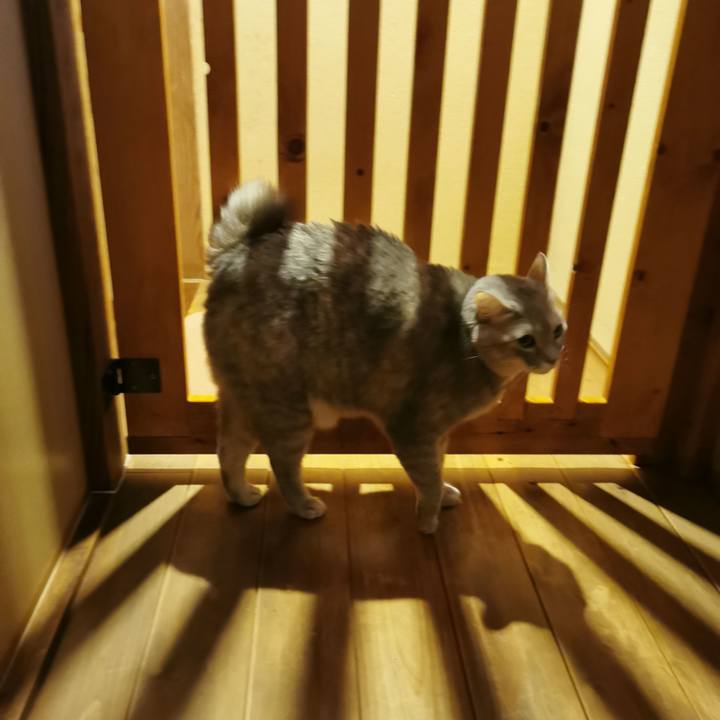 D271068e a779 48ad 9049 cf7b0d388625 1641650877577