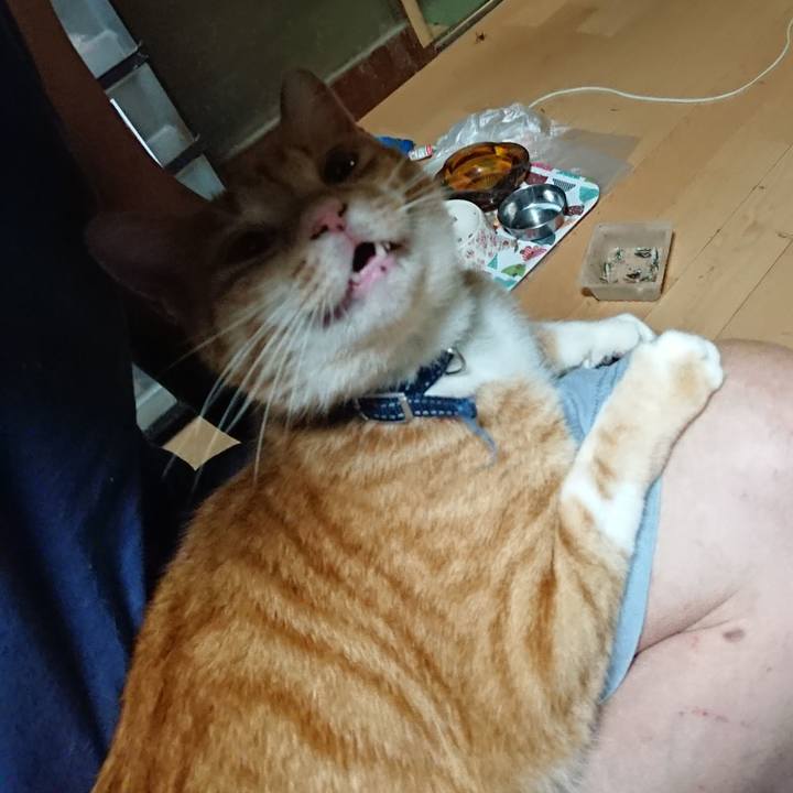 D271106f 4e4a 4172 9069 505f3e841a64 1599681382663