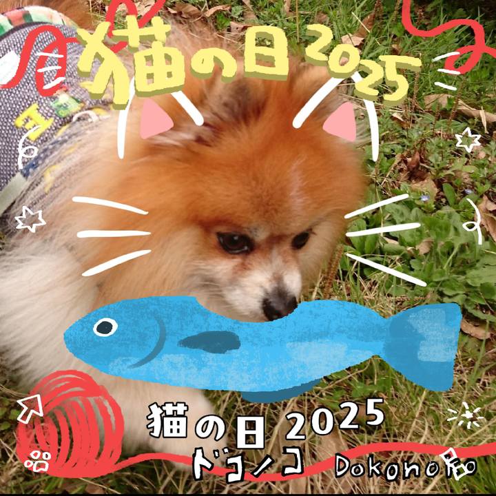 D271134a 614e 4ecd 8f6b 4f0871a53374 1740214800555