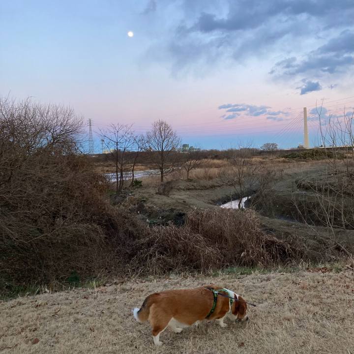 D27136f1 bb7f 4b90 b0d0 bbe92ac383a2 1706146468846