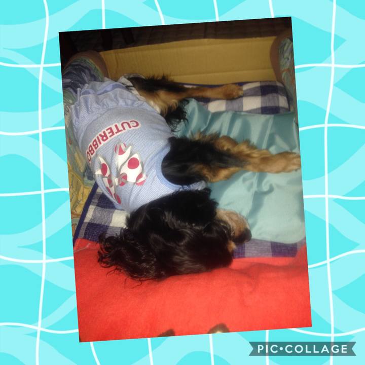 D2713b42 5ede 4ecc 9876 800020455cf8 1566909836608