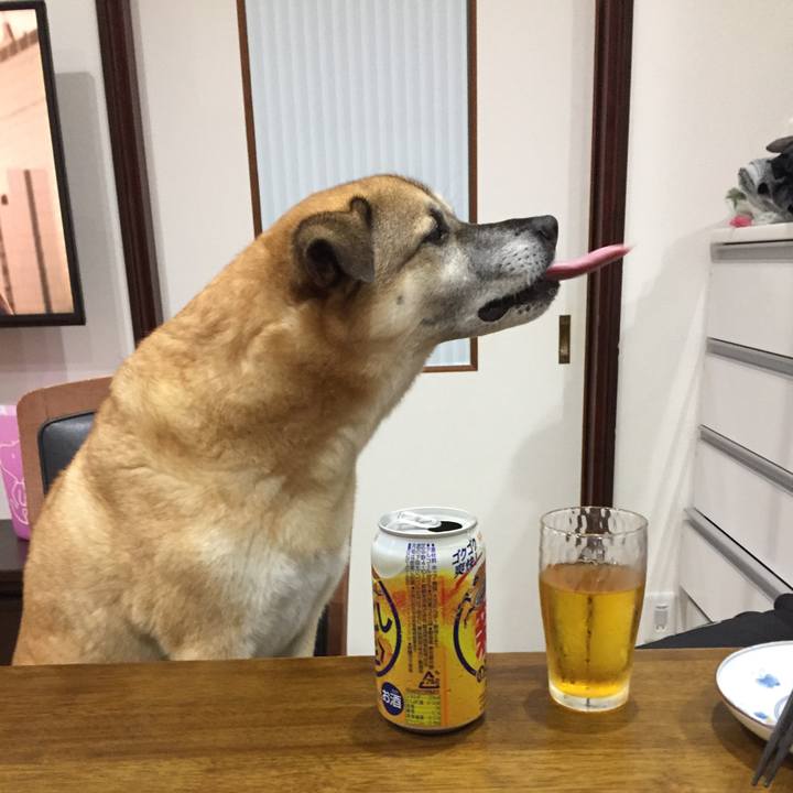 D27141a4 aa87 4c17 a3cb c3d6971e55a2 1536052501307