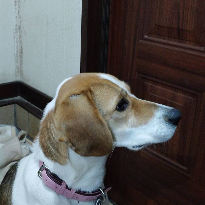 D2718c0e 2c9c 47a4 a990 bc34ea07607a 1578563380820