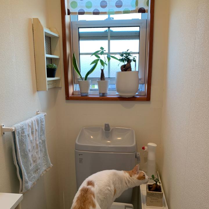 D271a0ee 4217 4a90 9878 06757ca87cff 1651698806924