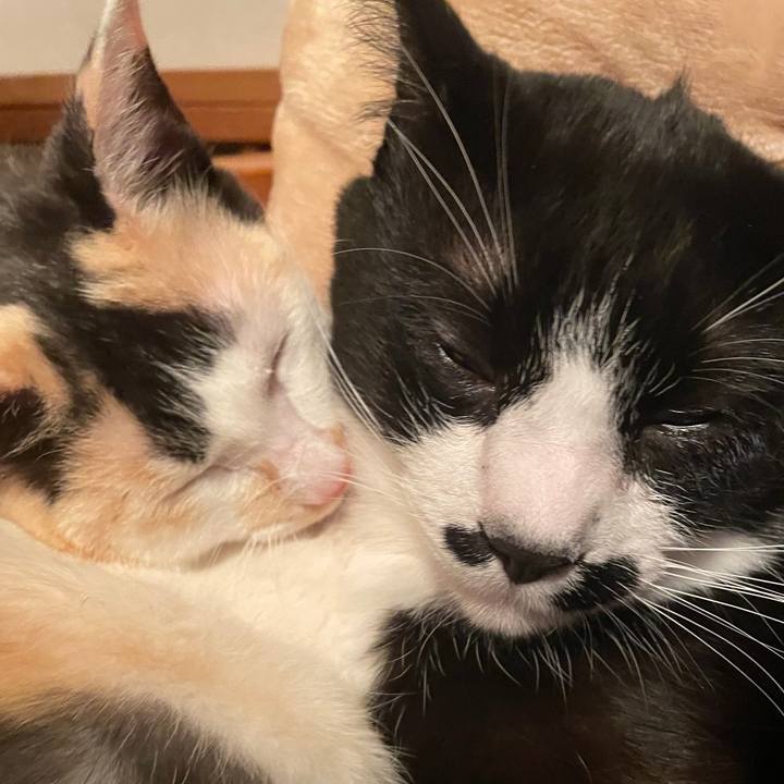 D271e5e9 9bcf 4977 a29f 7c417eed6184 1680088759364