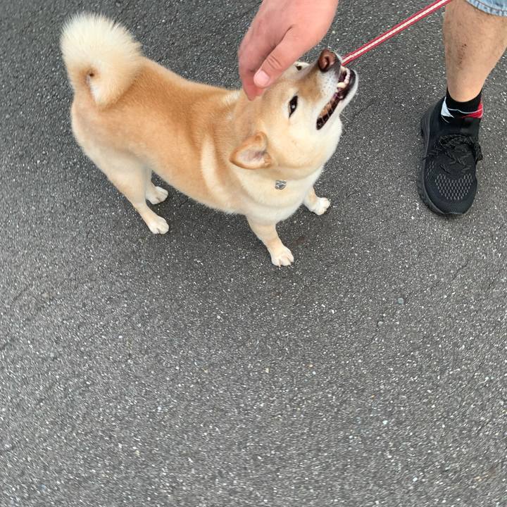 D271f335 2c59 45f3 85af 256f49e6f538 1656795564036