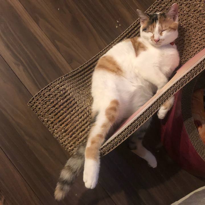 D271f934 9d0f 4936 856b 8d8f7937aea1 1570972701788