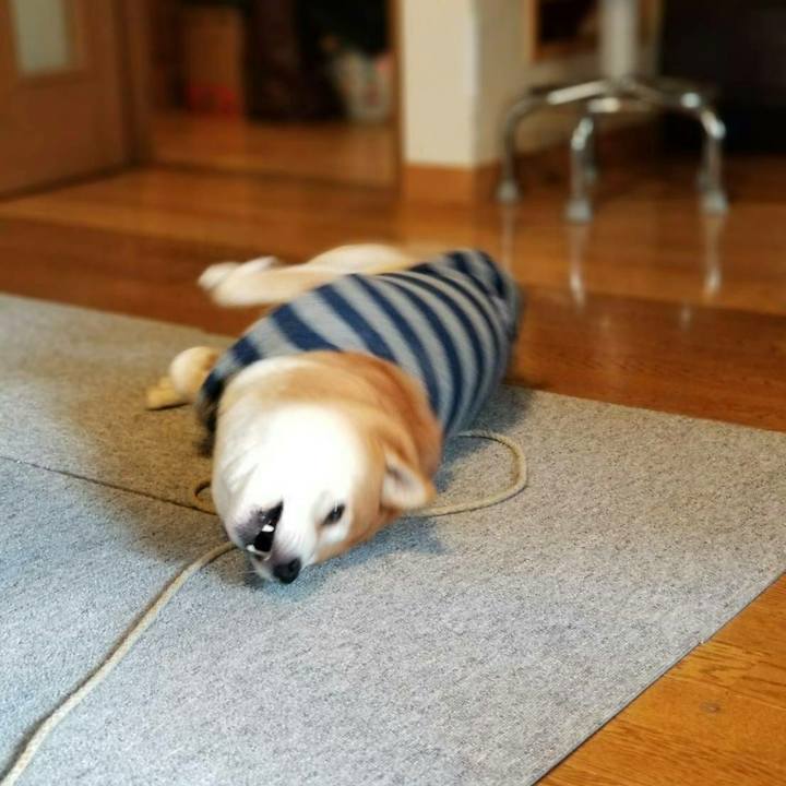 D2720be7 fef1 460c b4f7 df5088a593bc 1510666953216