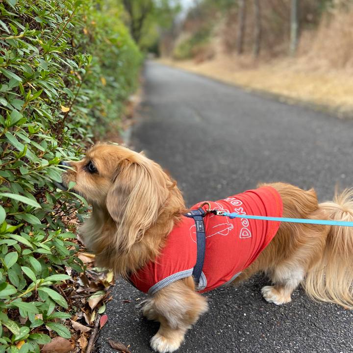 D2720fdb b764 406e 8d39 07da23c7cbbe 1578793358092