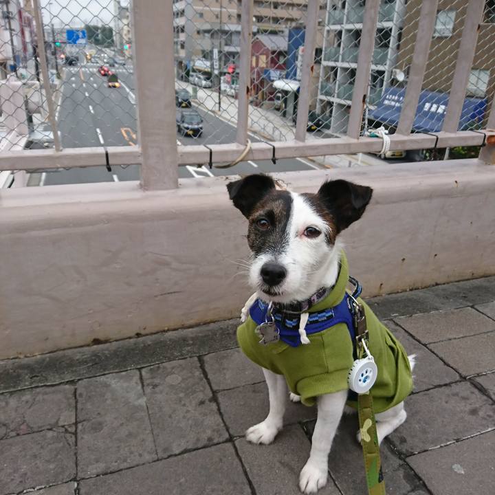 D2721102 3bb5 4fa1 a854 501f5ea491fb 1509142782514